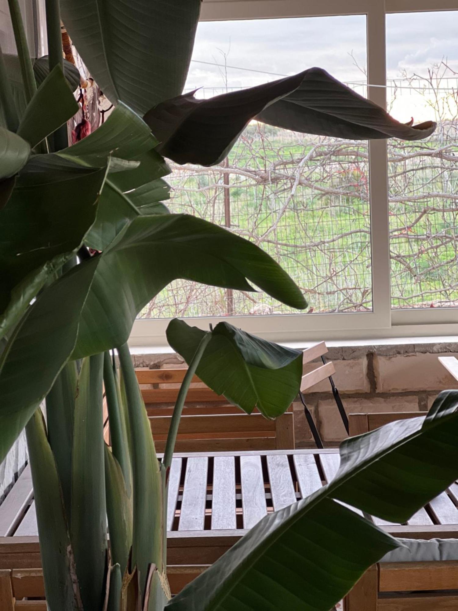 Cozzo Spadaro B&B Portopalo Di Capo Passero 외부 사진