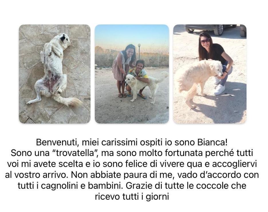 Cozzo Spadaro B&B Portopalo Di Capo Passero 외부 사진